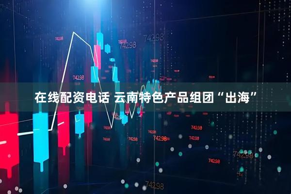 在线配资电话 云南特色产品组团“出海”
