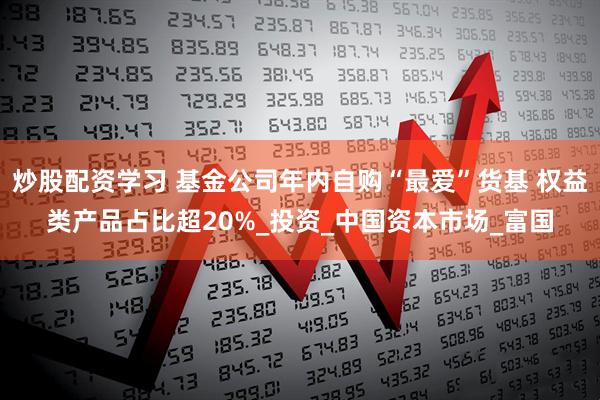 炒股配资学习 基金公司年内自购“最爱”货基 权益类产品占比超20%_投资_中国资本市场_富国