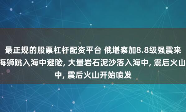 最正规的股票杠杆配资平台 俄堪察加8.8级强震来袭瞬间: 海狮跳入海中避险, 大量岩石泥沙落入海中, 震后火山开始喷发