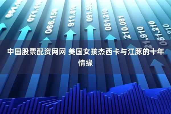 中国股票配资网网 美国女孩杰西卡与江豚的十年情缘